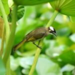 问鼎娱乐平台:玩家们的真实体验与评价分享 6sqixj