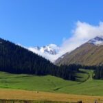 问鼎娱乐平台的用户评价与口碑分析 7a37in