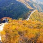 问鼎娱乐:成功案例分析:那些改变游戏规则的企业 jky6k4