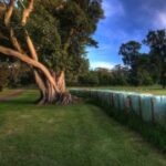 问鼎娱乐平台的品牌故事与创始团队介绍 wkan5