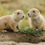 问鼎娱乐:品牌危机管理的有效应对策略 xn5m7wia